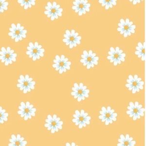 Meet your Posher, Samara